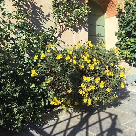 Casa Mita Con Pacchetto Mare Incluso Βίλα Camaiore Εξωτερικό φωτογραφία